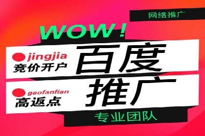 某公司通过SEM托管实现竞价推广的飞跃